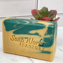 Load image into Gallery viewer, pine soap for men
